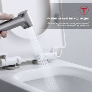 Гигиенический душ со смесителем Raglo R03.52.09 графит